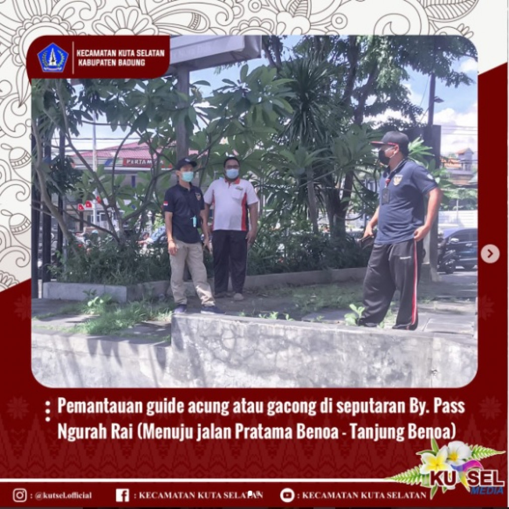 Pemantauan guide acung atau gacong di seputaran By. Pass Ngurah Rai (Menuju jalan Pratama Benoa - Tanjung Benoa)